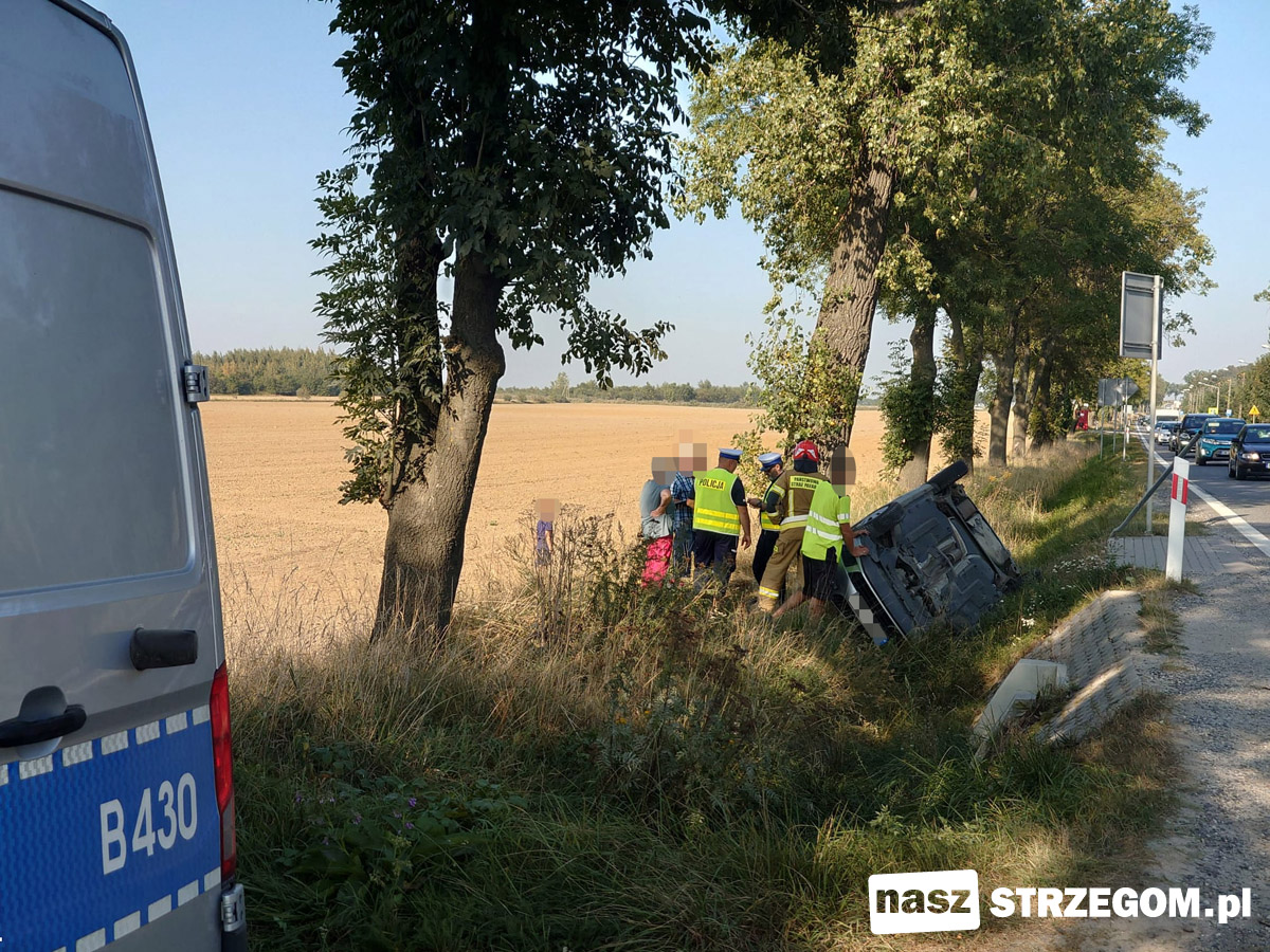 Zdarzenie drogowe na krajowej 